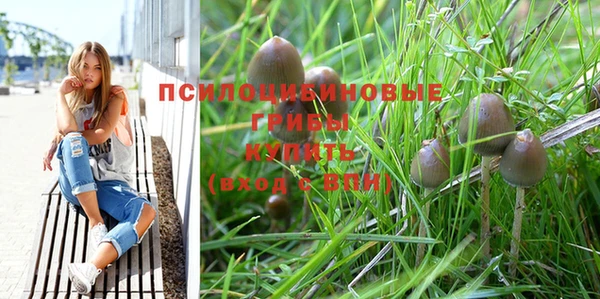 первитин Касимов