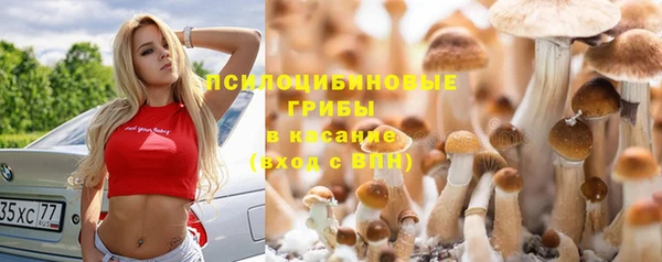 синтетический гашиш Карпинск