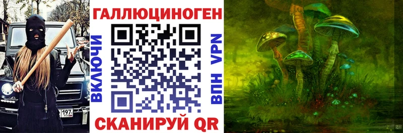Псилоцибиновые грибы Magic Shrooms  Купить где  Заводоуковск 