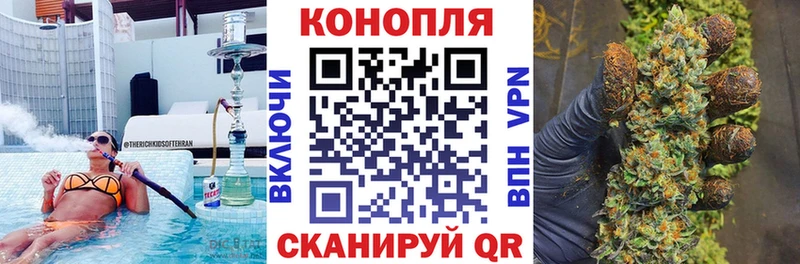 Купить  Заводоуковск  Канабис индика 